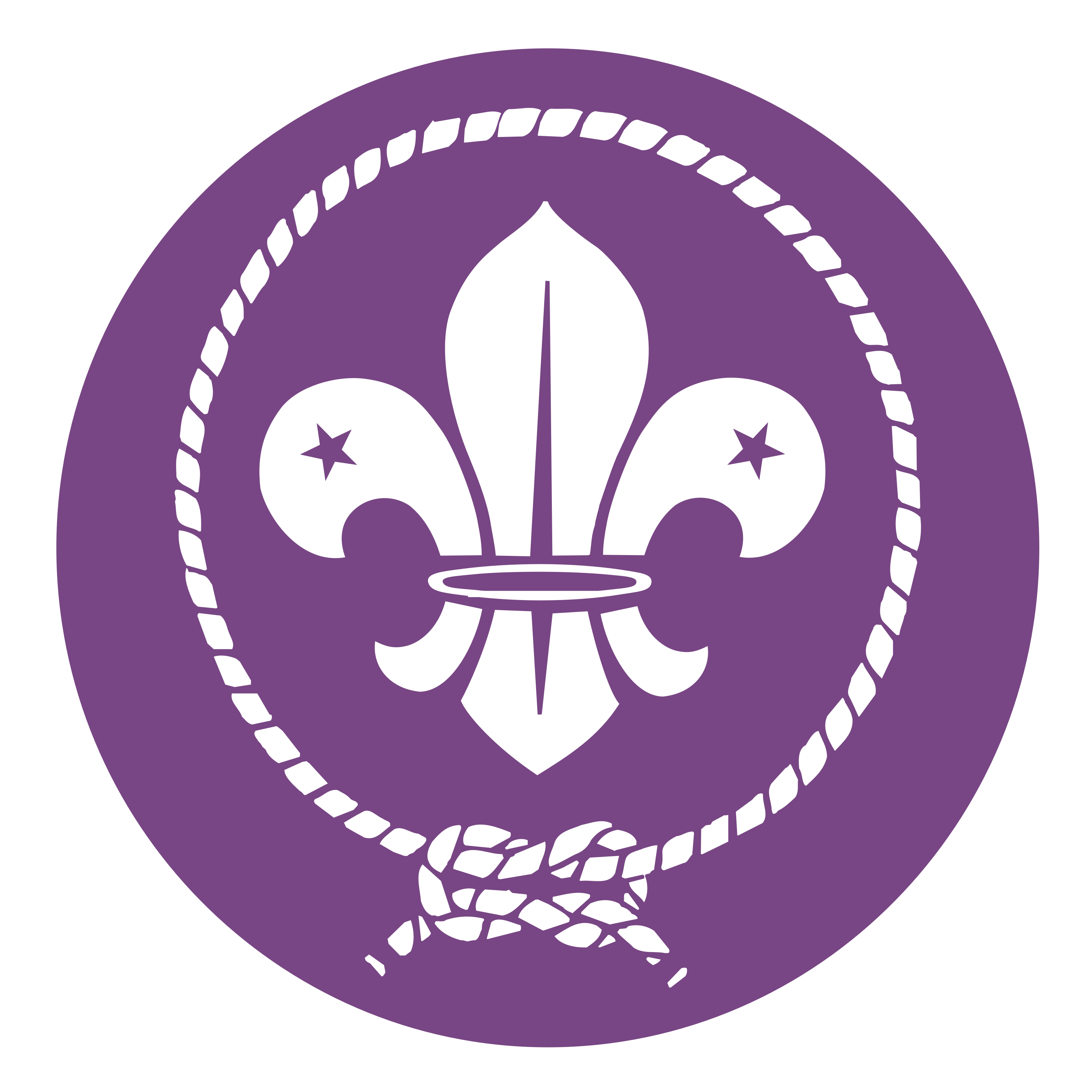 salmanscout